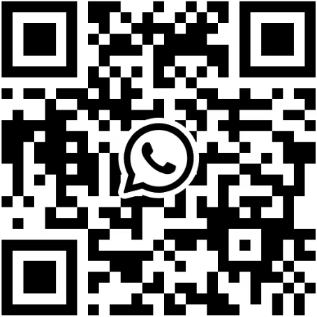 WhatsApp，WhatsApp Business